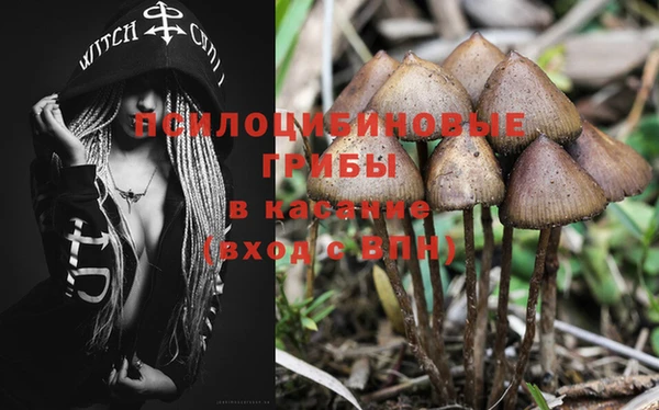 МДПВ Алексеевка