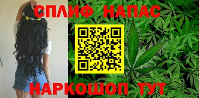 спайс Кинель