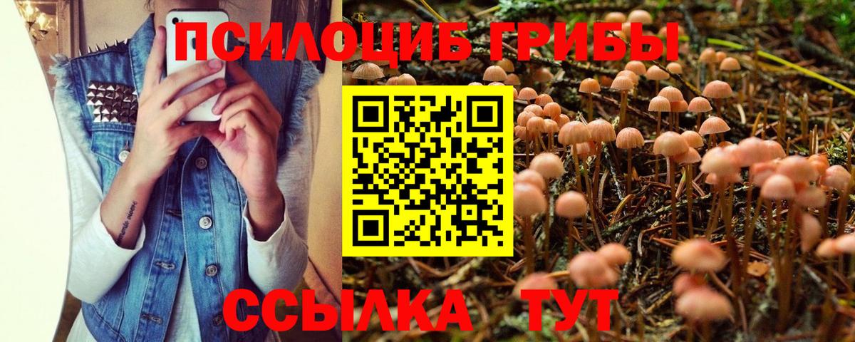 Галлюциногенные грибы Psilocybine cubensis  Вход с VPN  Псилоцибиновые грибы мицелий  Чусовой 